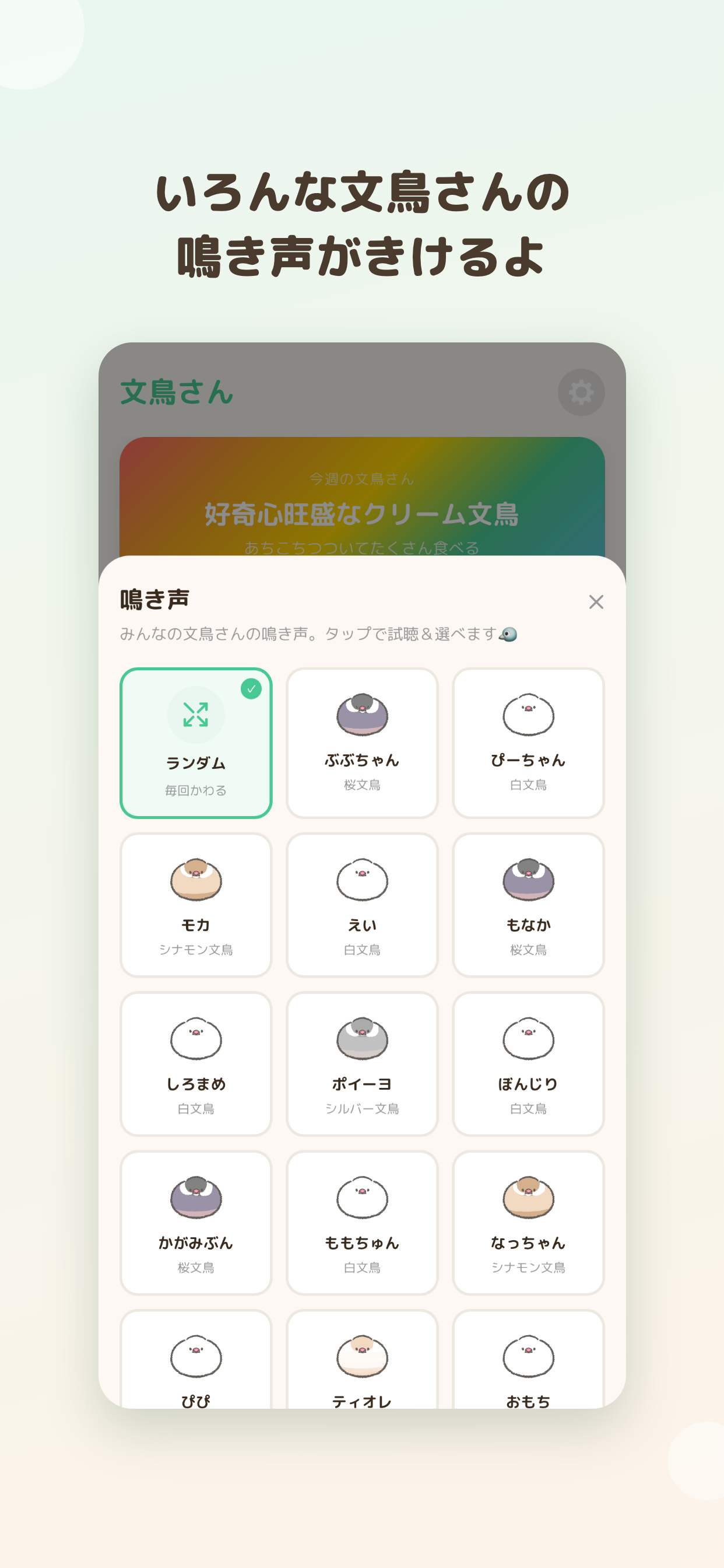 ゲーム画面