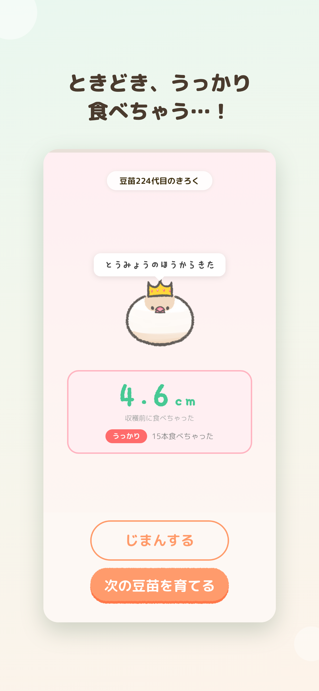ゲーム画面